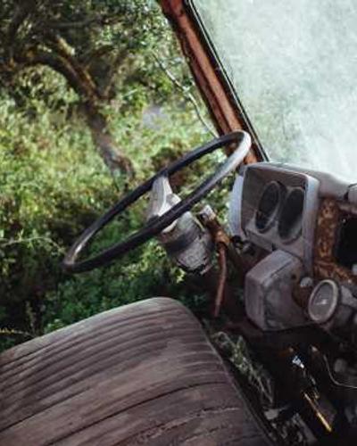 《宠物的沙雕日常》搞笑漫画